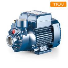 110v Pumps